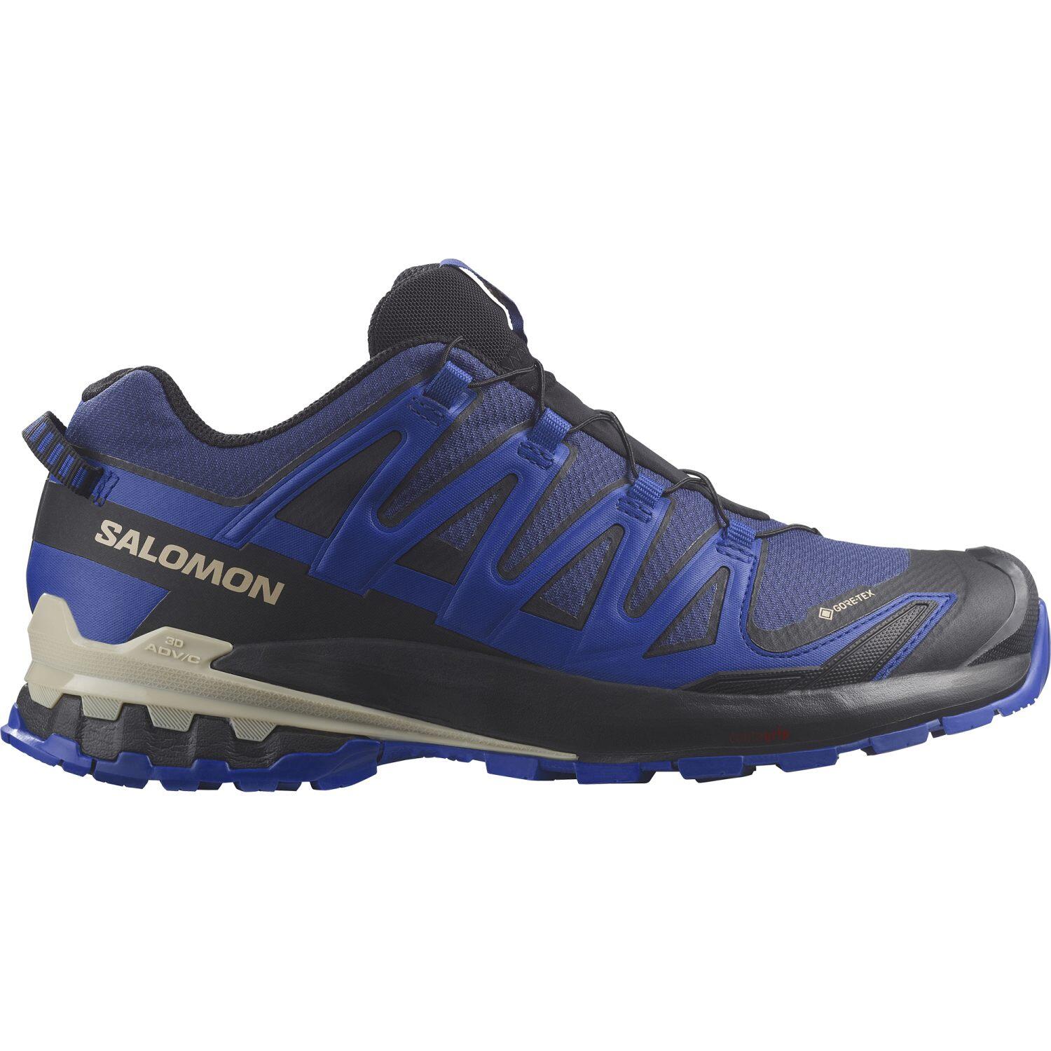 SALOMON picture