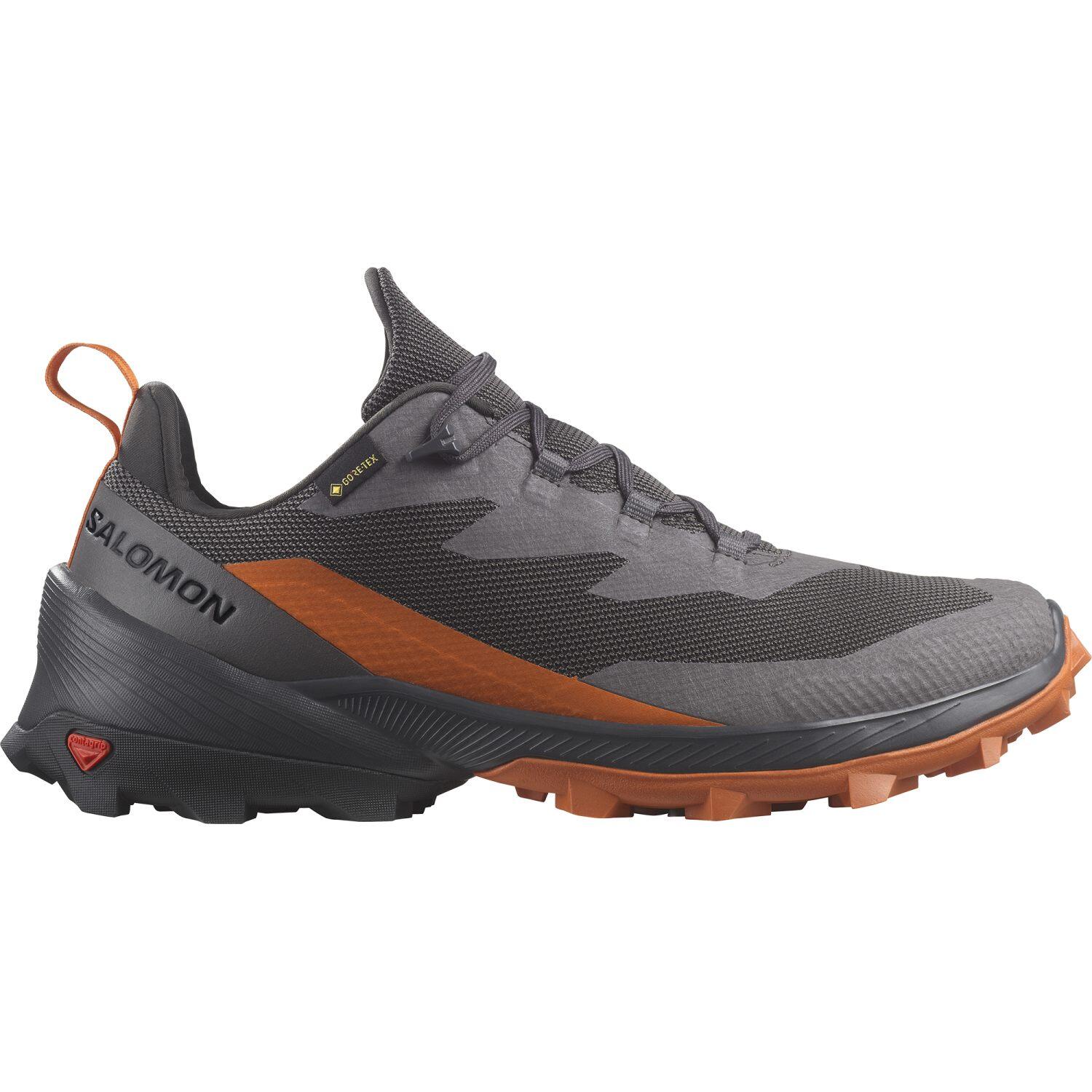 SALOMON picture