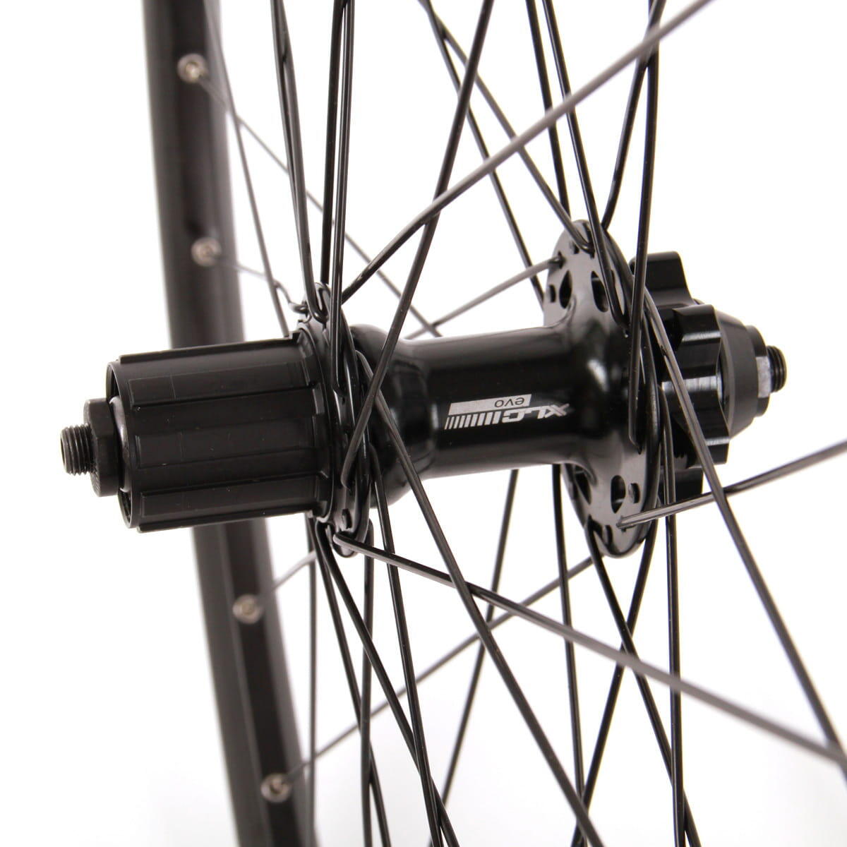 Hinterrad 6-Loch XLC DT Swiss 3/5