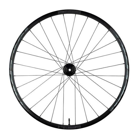 Aeffect R 30 Ruota posteriore - 29 pollici - Nero