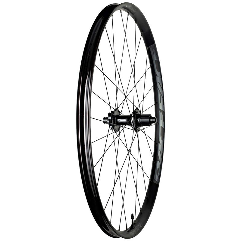 Aeffect R 30 E-MTB Roue arrière - 29 pouces - Noir