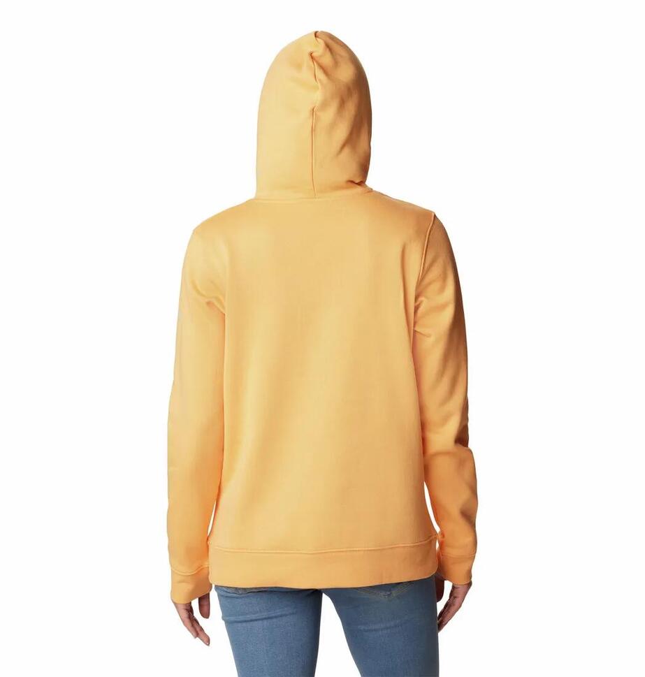 Bluza Turystyczna z kapturem Damska Columbia Trek Graphic Hoodie