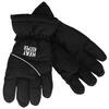 Ski handschoenen dames - Zwart - 1-Paar - Dames handschoenen winter