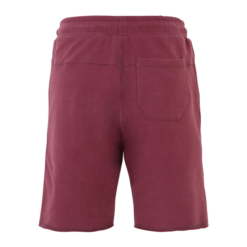 VENICE BEACH Shorts VBM Aiden