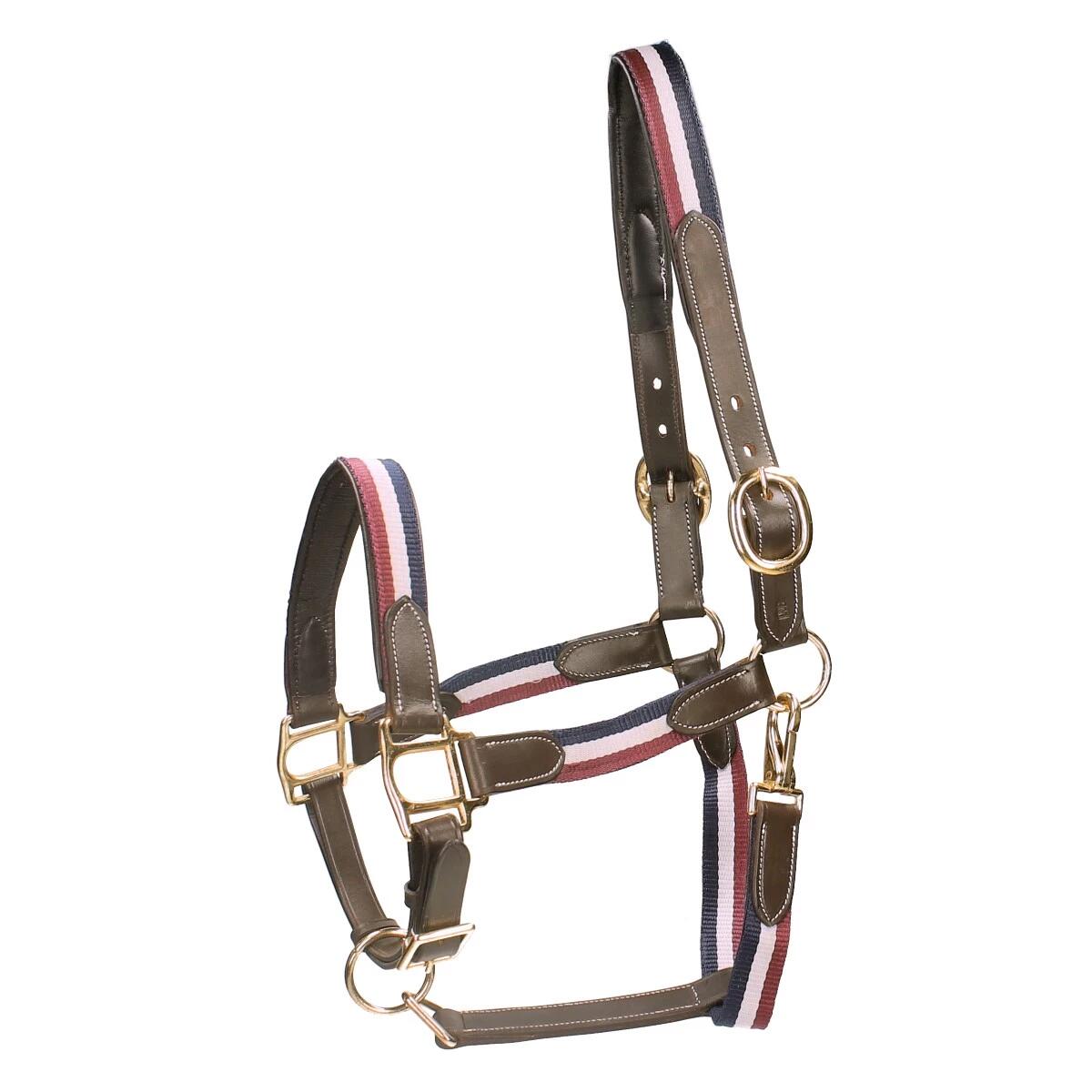 HORSEGEAR picture
