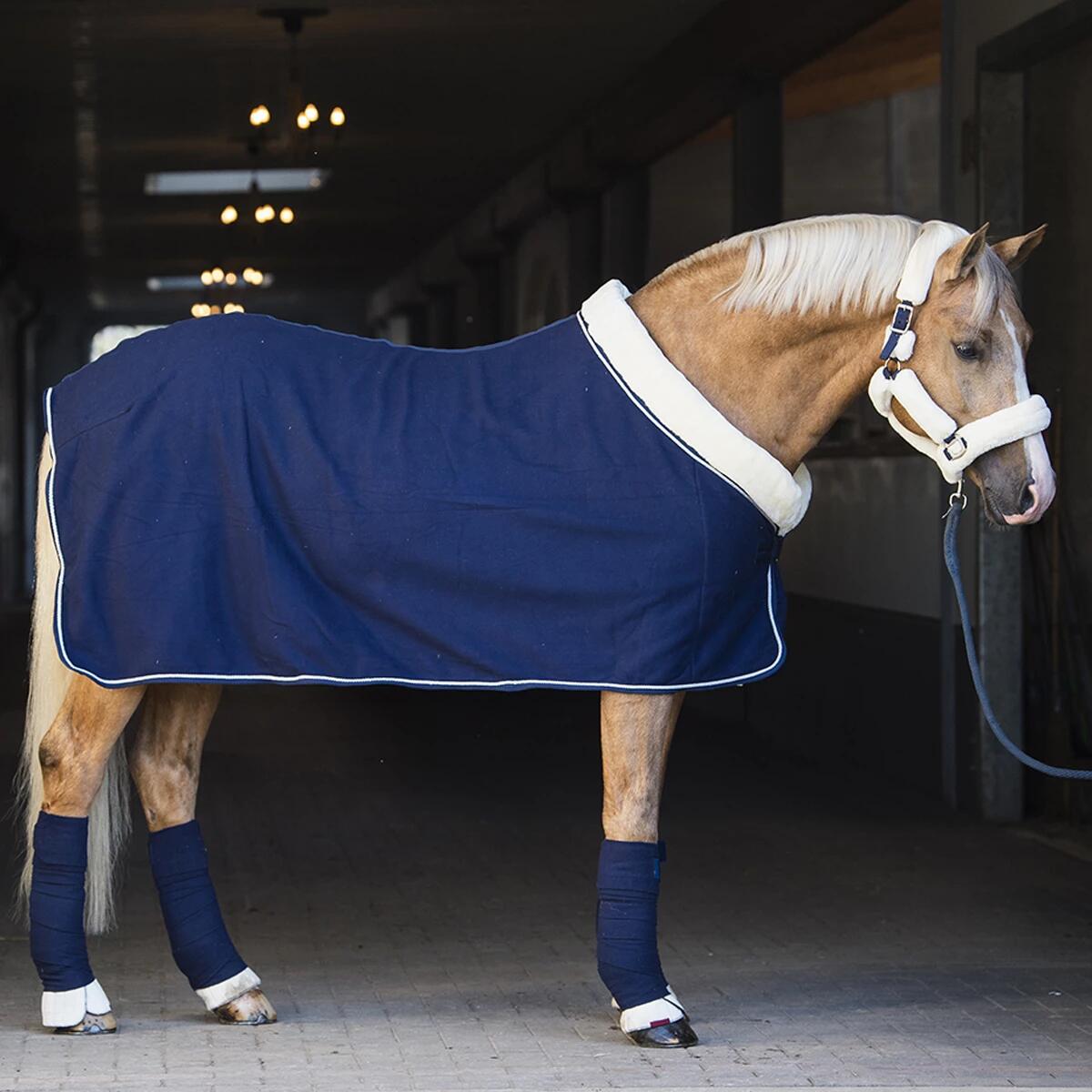 Abschwitzdecke Allure Horsegear Dunkelblau 3/6