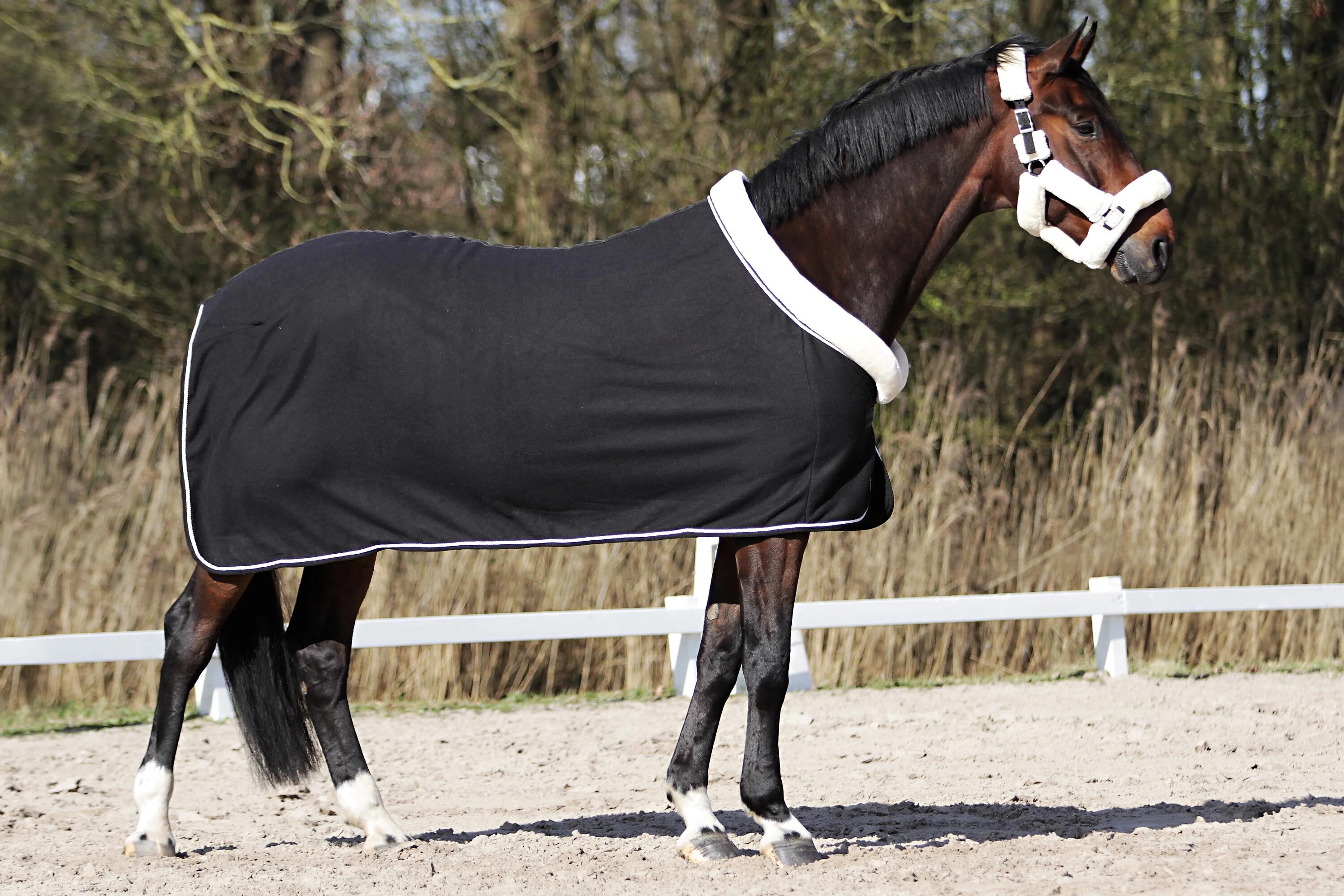 Chemise Séchante Allure HORSEGEAR Noir 3/4