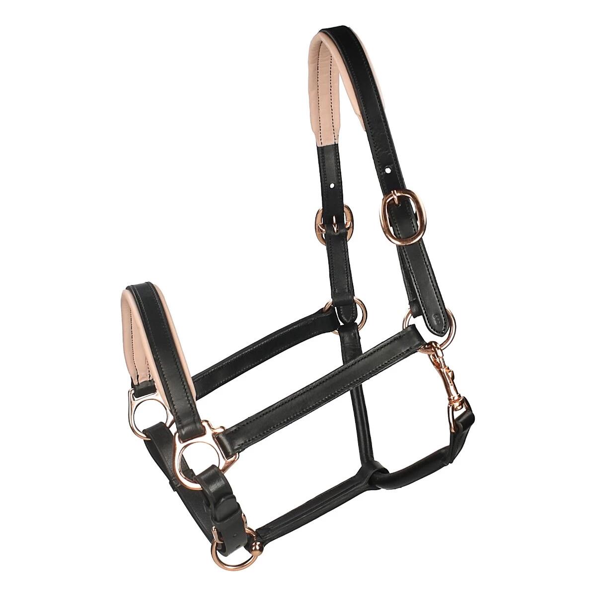HORSEGEAR picture