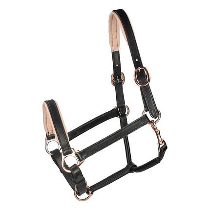 Licol Rosegold Cuir HORSEGEAR Noir-doré