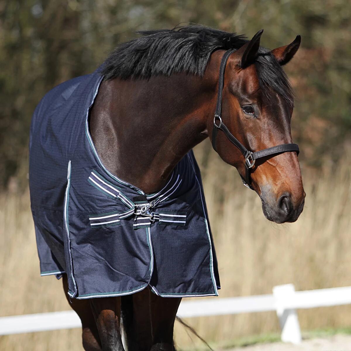 Couverture Colcha 200g HORSEGEAR Bleu foncé-vert 4/6
