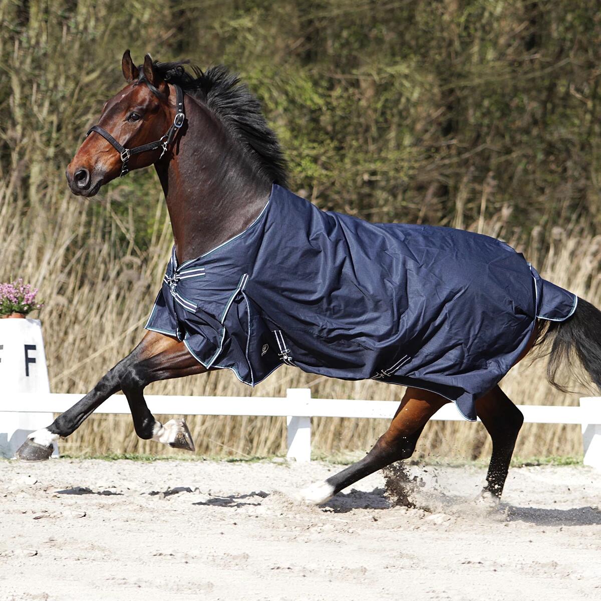Couverture Colcha 200g HORSEGEAR Bleu foncé-vert 6/6