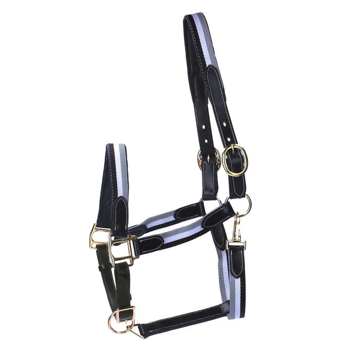HORSEGEAR picture