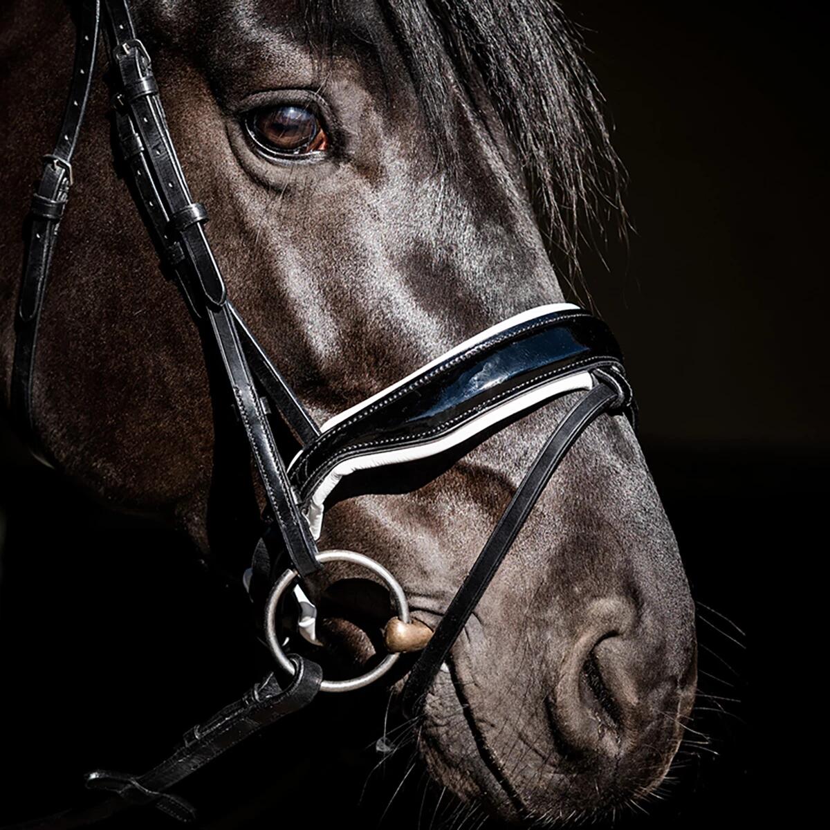 Hoofdstel HB Special Guy Zwart-wit 3/4