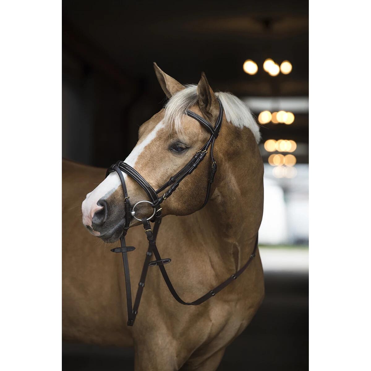 Hoofdstel HORSEGEAR Taron Bruin 2/3