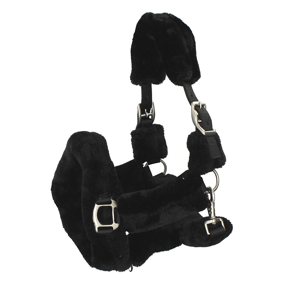 HORSEGEAR picture