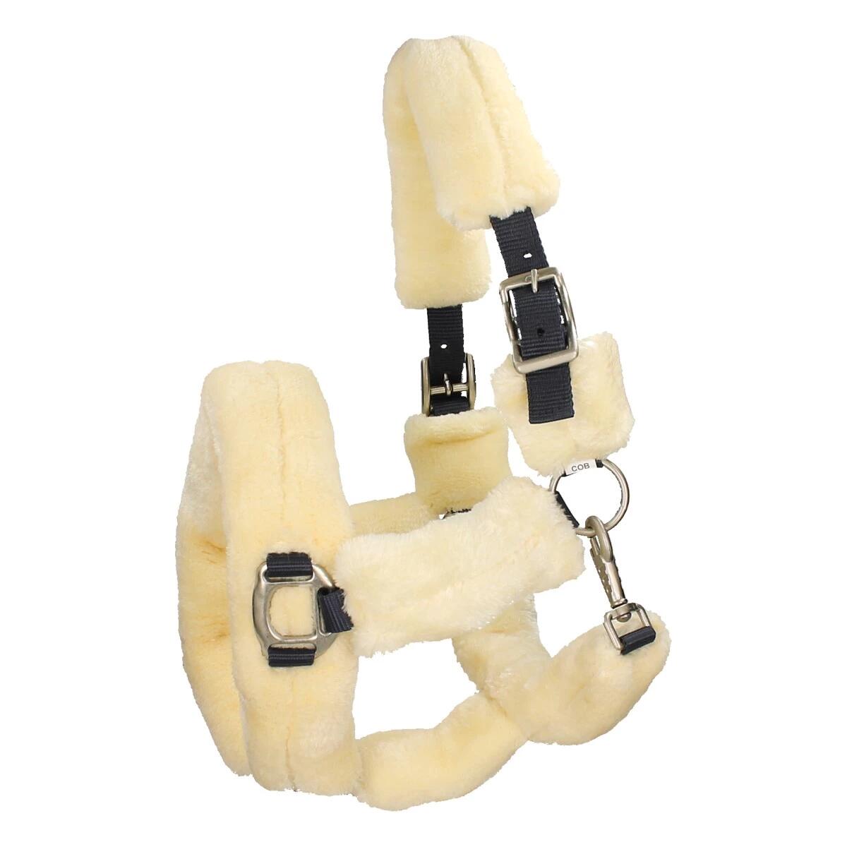 HORSEGEAR picture