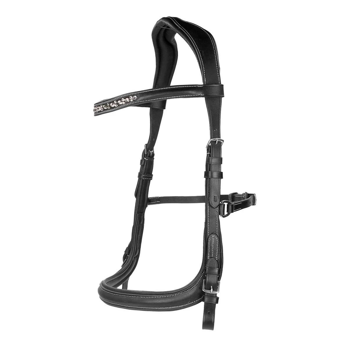 HORSEGEAR picture