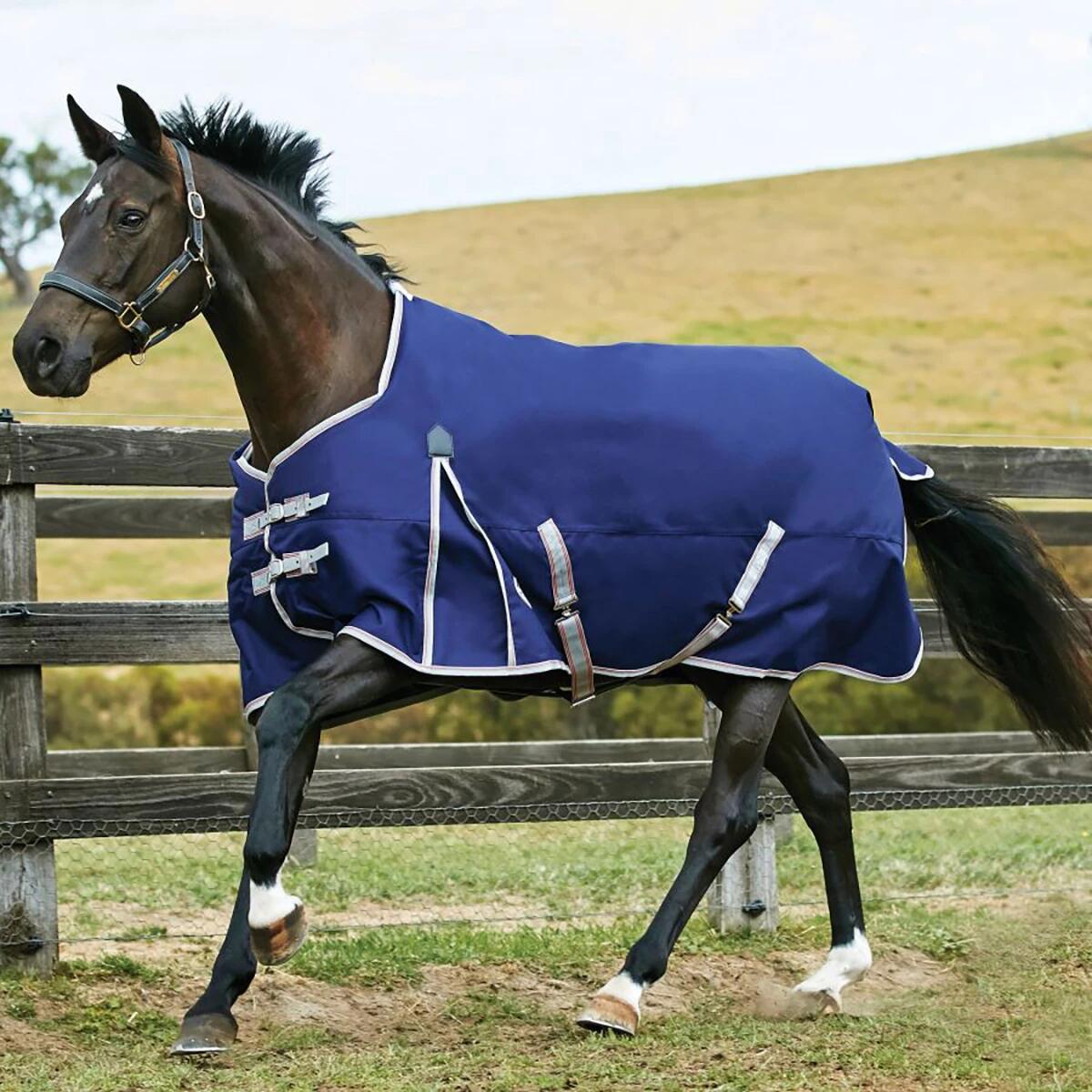 Horse blanket Weatherbeeta Comfitec Essential 220g