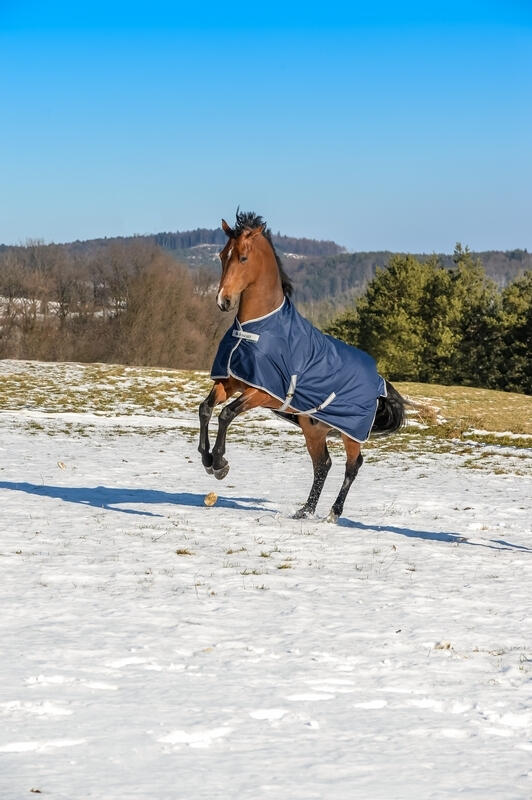 Couverture d'extérieur pour cheval Bucas Freedom Turnout 3/4