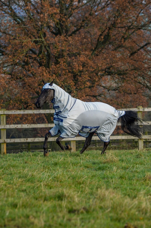 BUCAS picture
