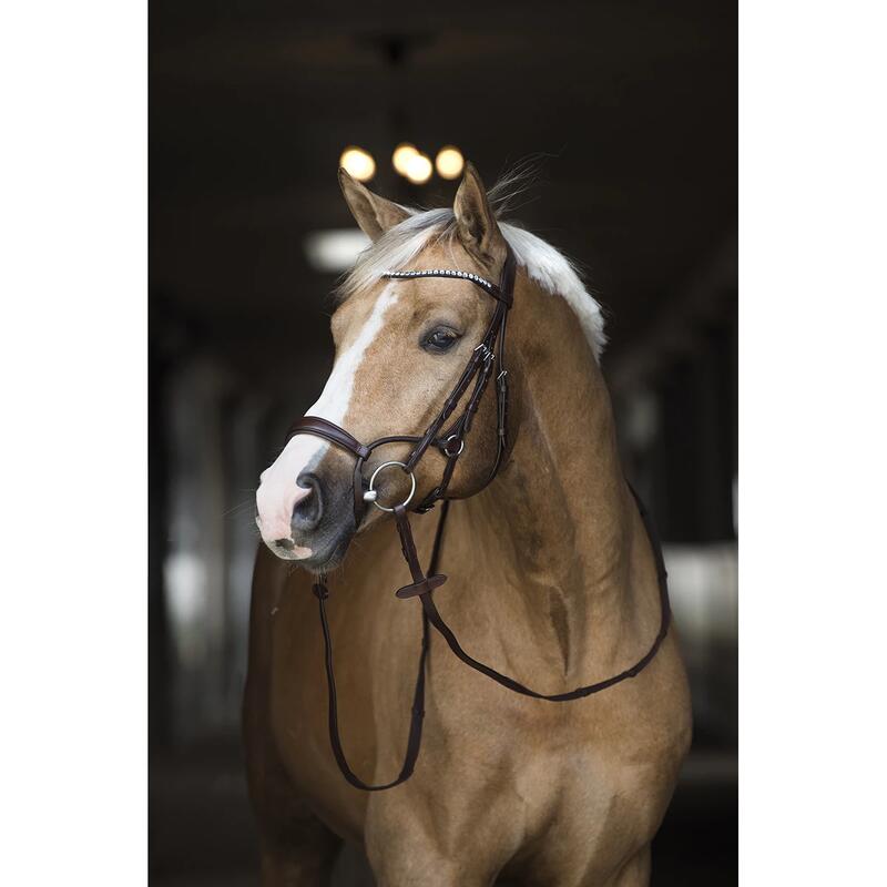 Bridon Aquila Deluxe Horsegear Marron