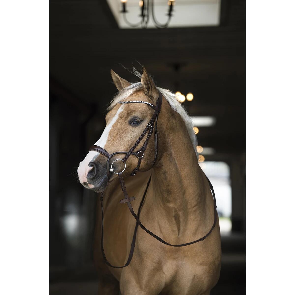 Trense Aquila Deluxe Horsegear Braun 4/6