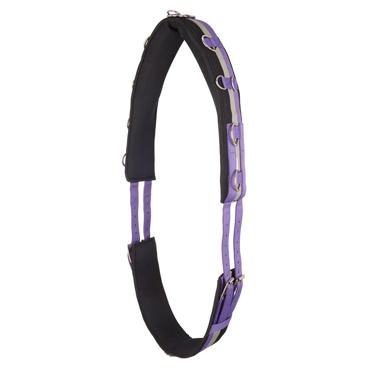 IMPERIAL RIDING Longeersingel Imperial Riding Neon Paars