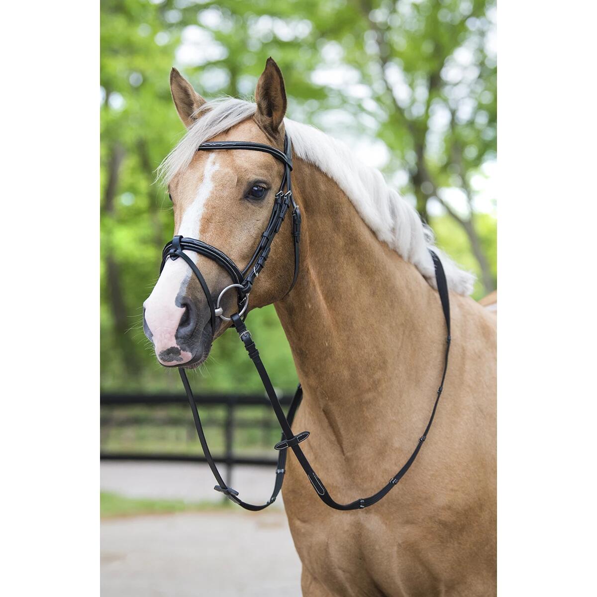 Trense Taron HORSEGEAR Schwarz 2/5