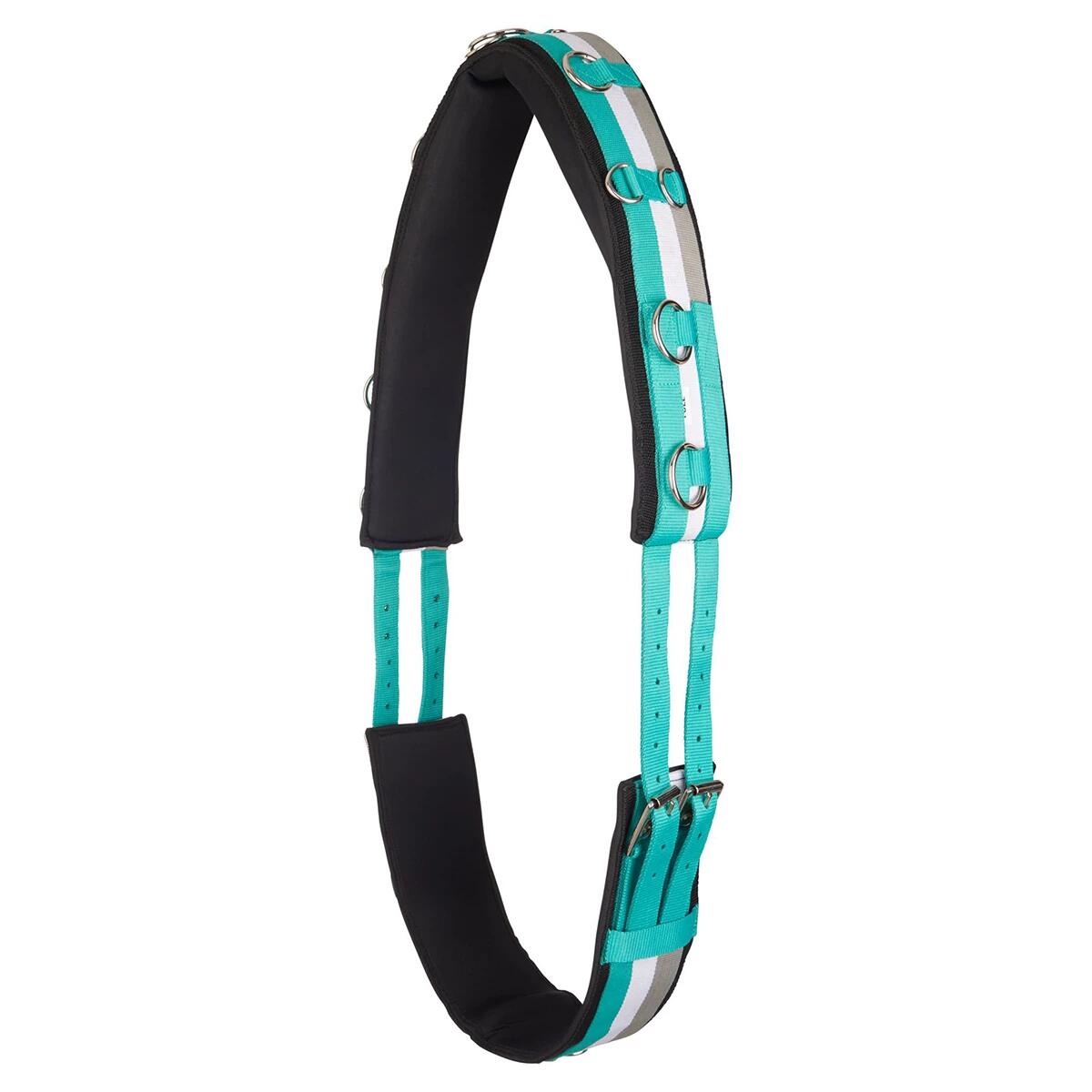 IMPERIAL RIDING Longeersingel Imperial Riding Neon Turquoise