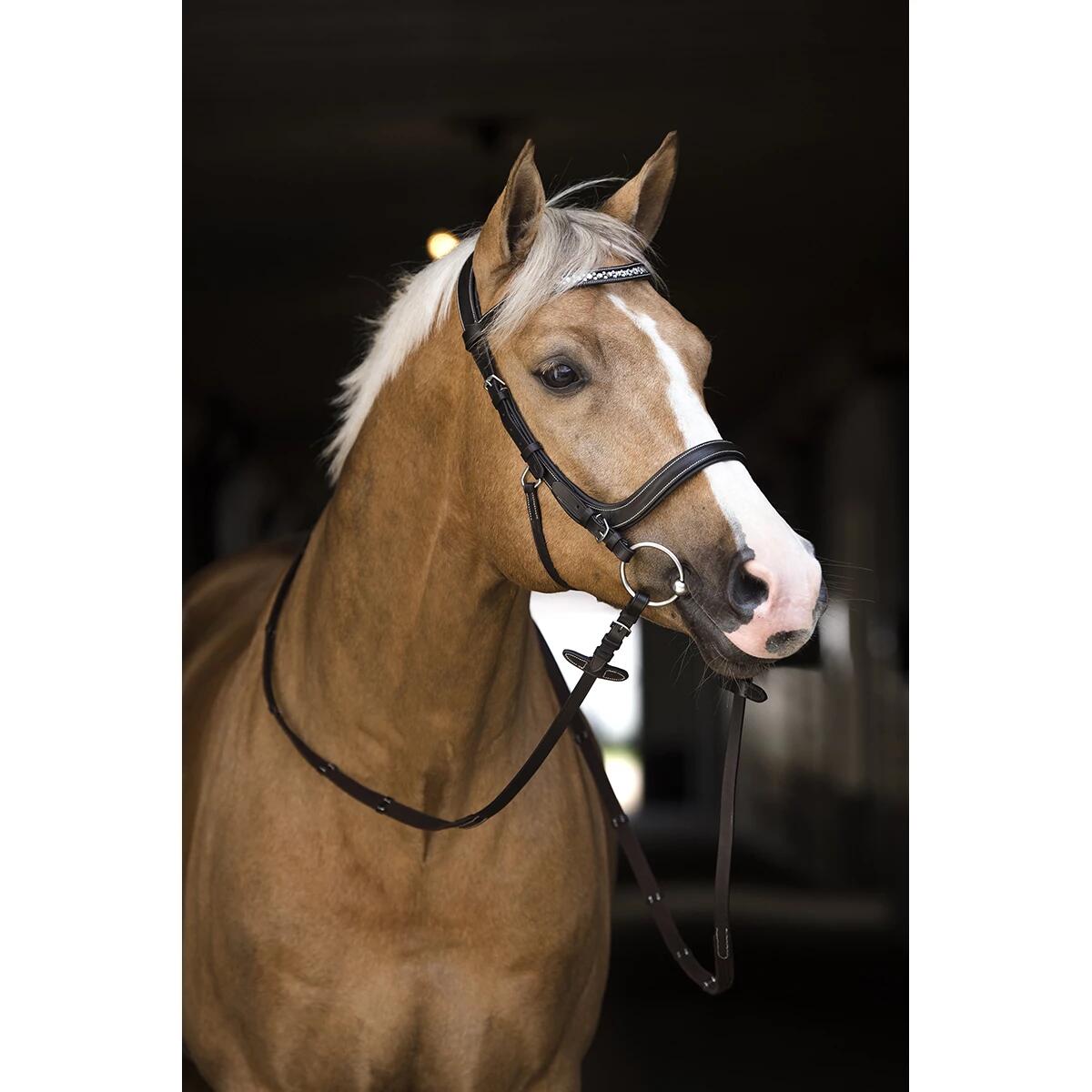 Trense Styx HORSEGEAR Braun 2/4