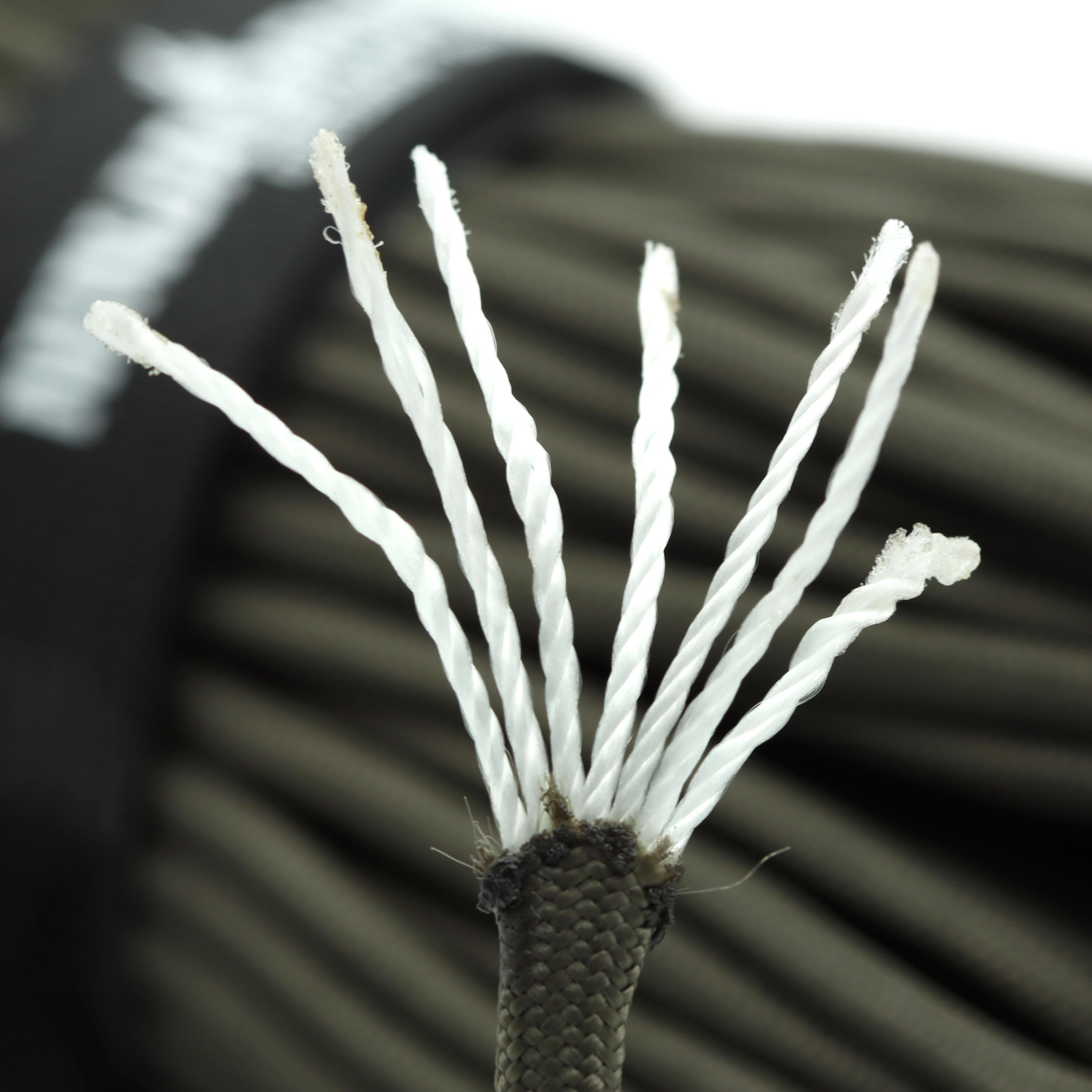 NinjaRope - Paracord 550-31m inkl. Seilspanner 3/4