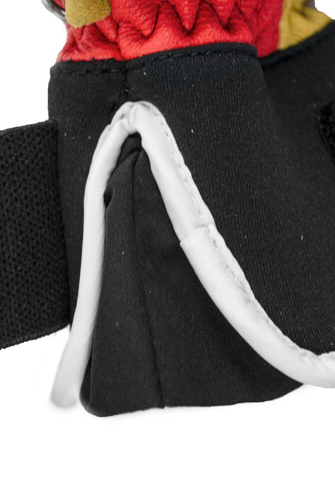 Rękawice narciarskie Reusch Highland R-Tex® XT