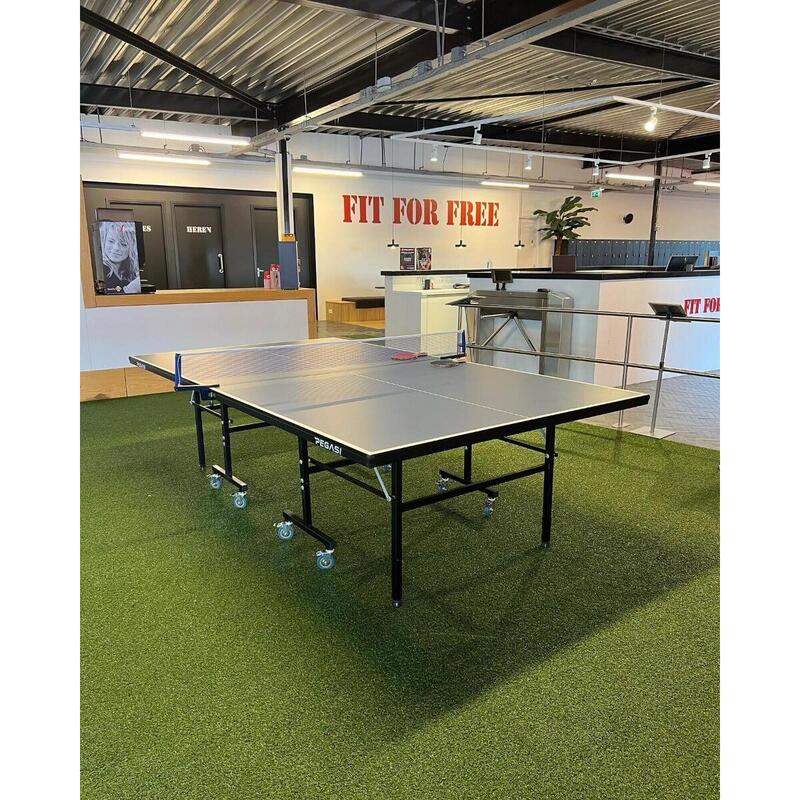 Table de tennis de table PEGASI Office 250 Indoor