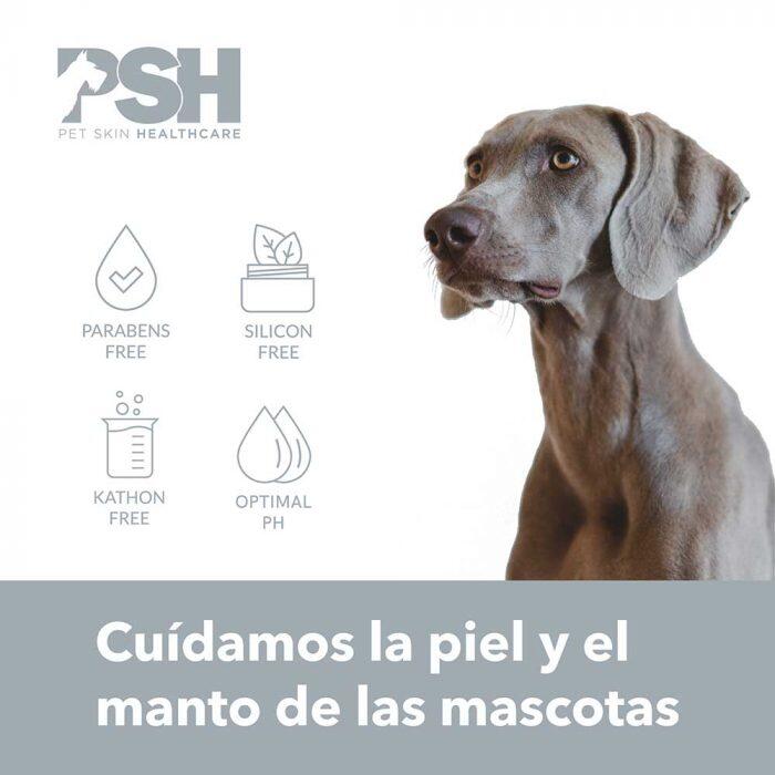 Tratamiento para Perros en Espuma Postbaño PSH para Pieles con Seborrea 160 ml