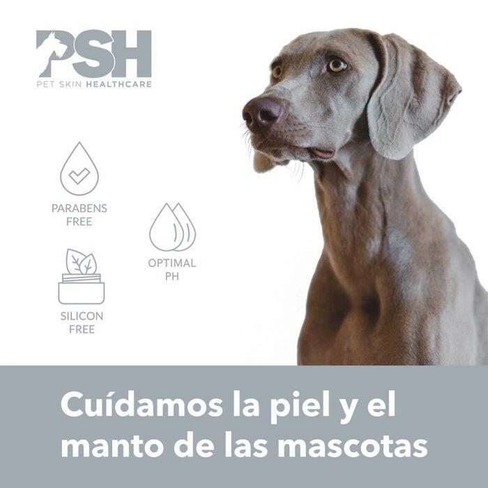 Champú para Perros para Dermatosis PSH Balsamo Pure Silver 300 ml