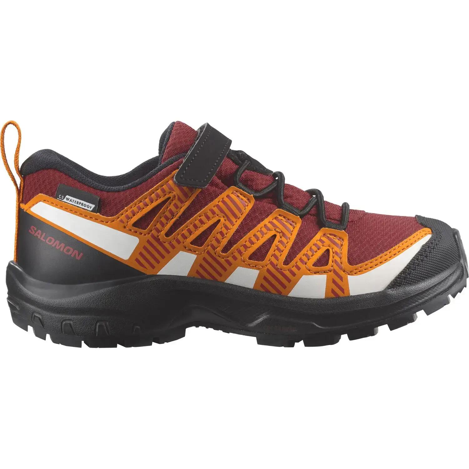 SALOMON picture