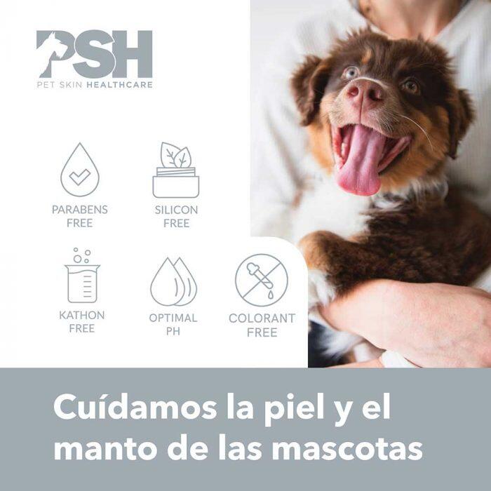 Psh dog outlet shampoo