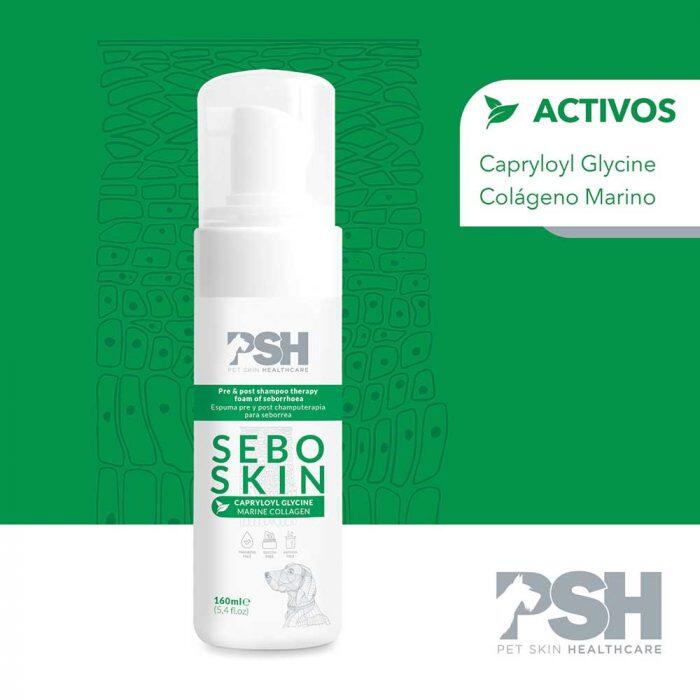 Tratamiento para Perros en Espuma Postbaño PSH para Pieles con Seborrea 160 ml