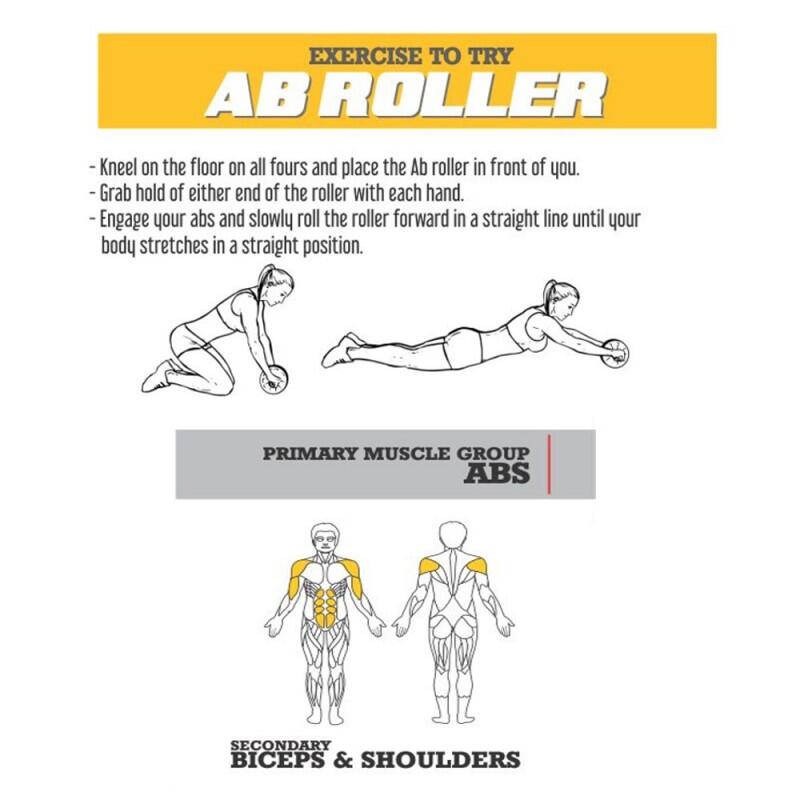Rueda Abdominales Zastor AB6 2/3