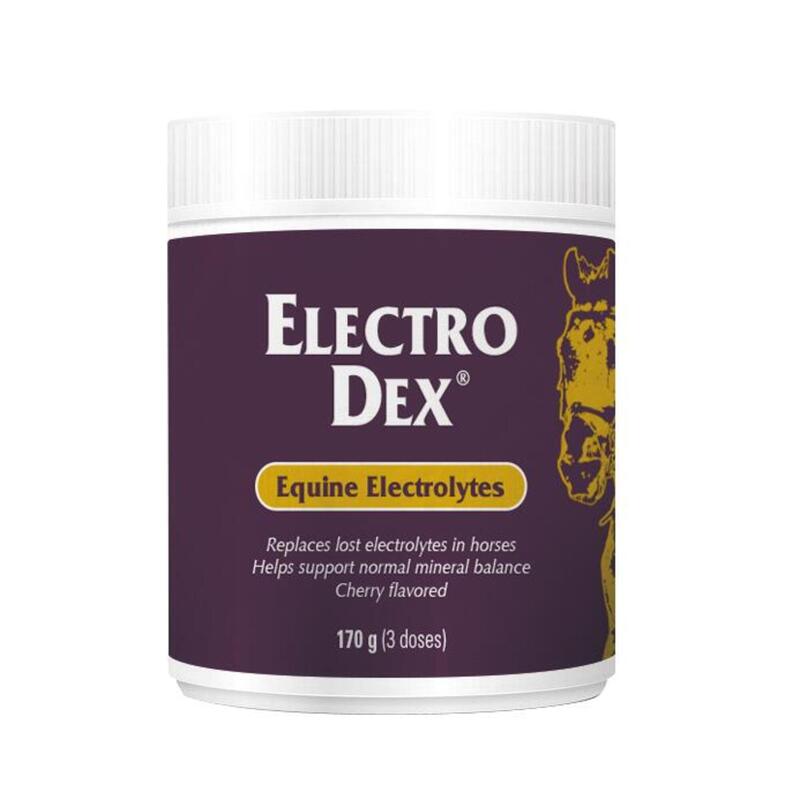 ELECTRO DEX® Mini 170g, eletrólitos solúveis com sabor a cereja.