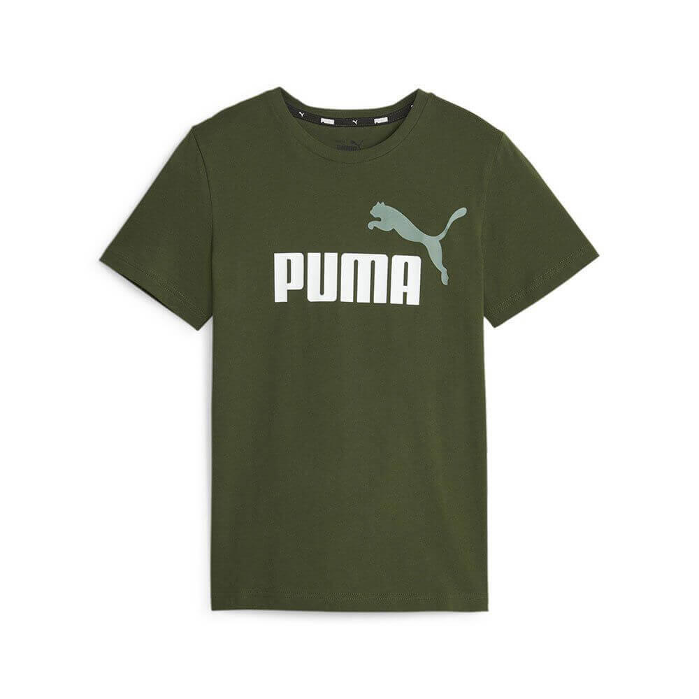 PUMA picture