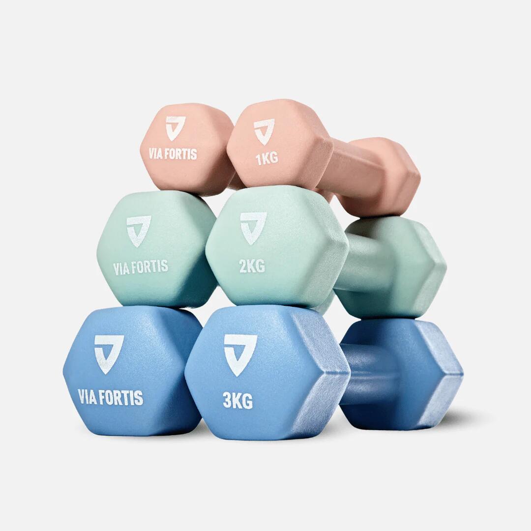 Via Fortis - Haltères Premium En Néoprène, Pour Fitness, Pilates, Musculation, Renforcement - Haltère - Multicolore - 12 Kg - Decathlon