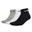 Socken Unisex 3er Pack-Linear Cushioned Ankle