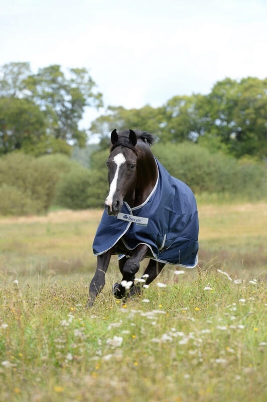 Manta de exterior para caballos Bucas Freedom Turnout Light 4/4