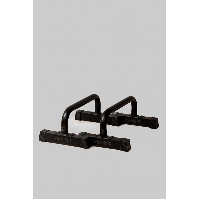 Barres Parallettes Premium - M