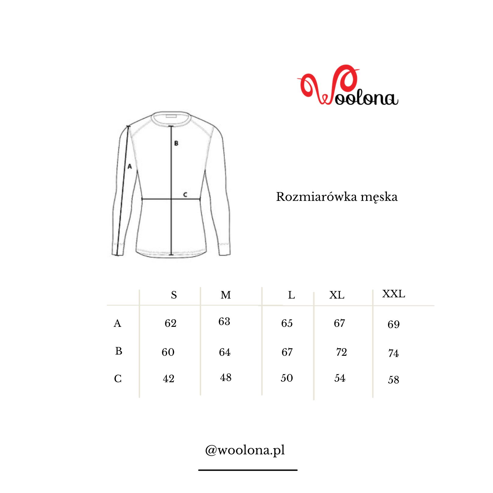 Astro - męska koszulka 100%  wełna merino z zamkiem (195 g/m²) 4/4