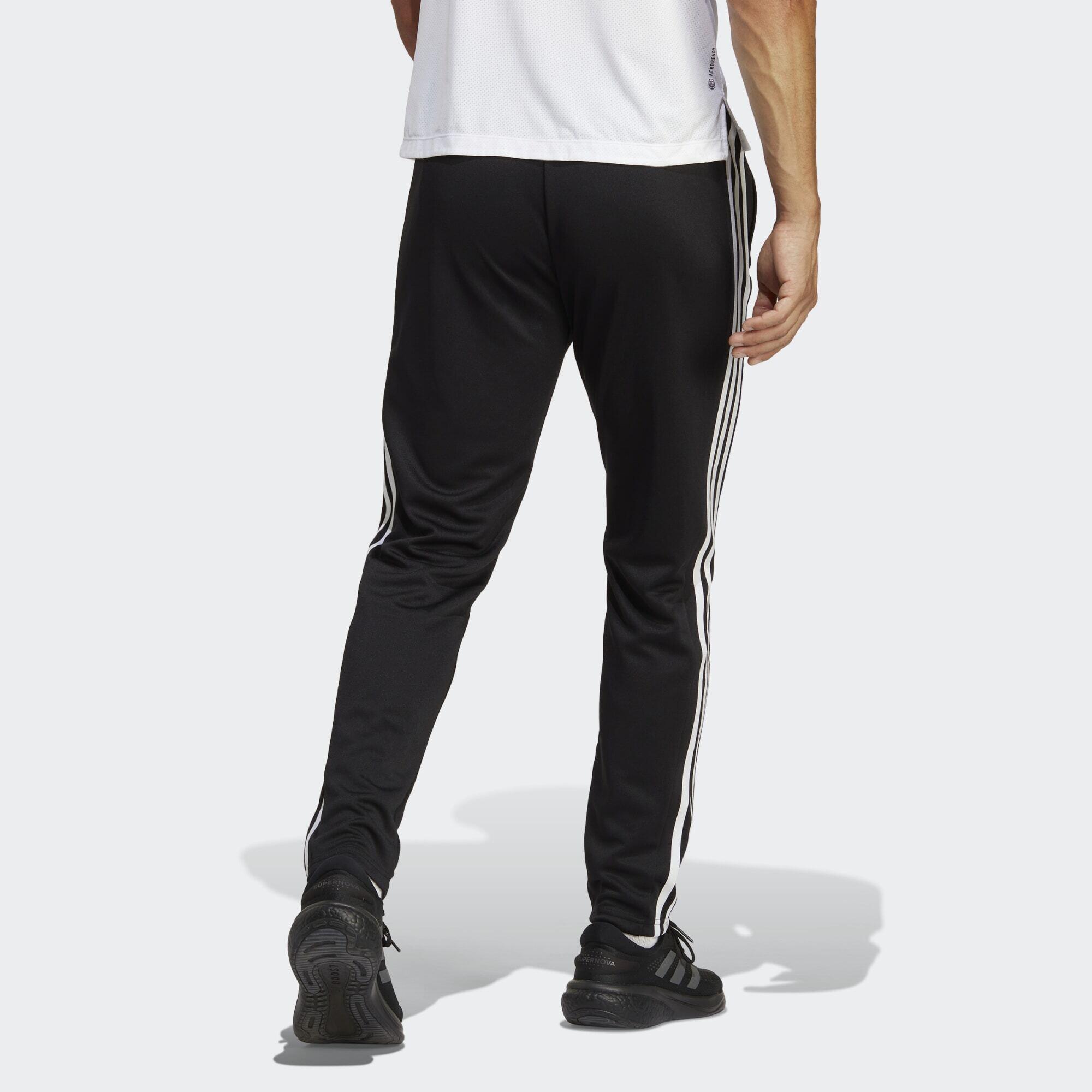 Train Essentials 3-band training pants