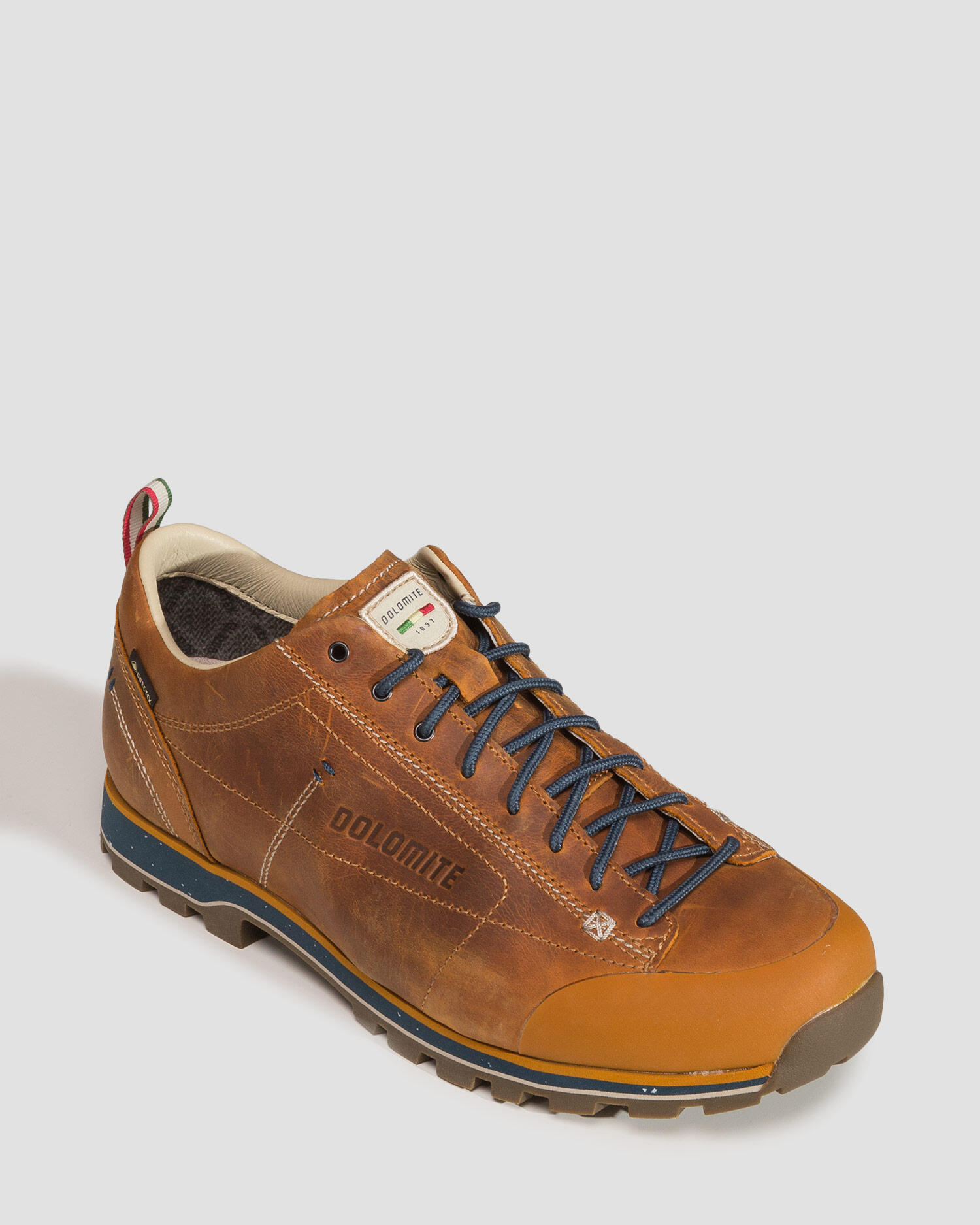 Buty trekkingowe męskie Dolomite Cinquantaquattro Low FG  Evo GTX 3/5