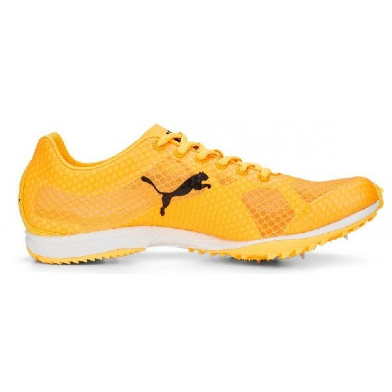 Pointes de Cross Puma Evospeed Haracka 7 3/5