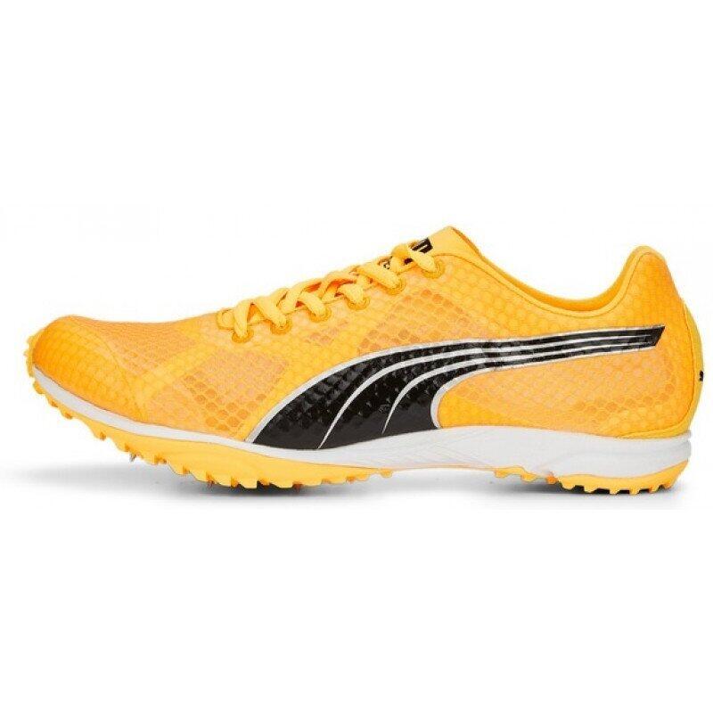 Pointes de Cross Puma Evospeed Haracka 7 2/5